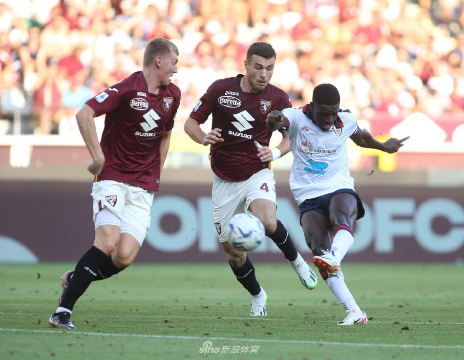 他们不仅在 他们不仅在